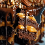 Turtle Caramel Crunch Cake 2 Screenshot 2025 12 16 150909