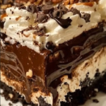 Turtle Chocolate Lasagna: A Decadent No-Bake Dessert 2 Screenshot 2026 06 11 162457